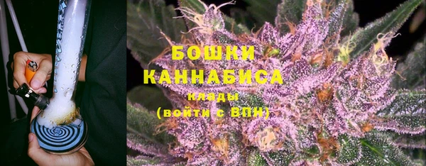 каннабис Богданович