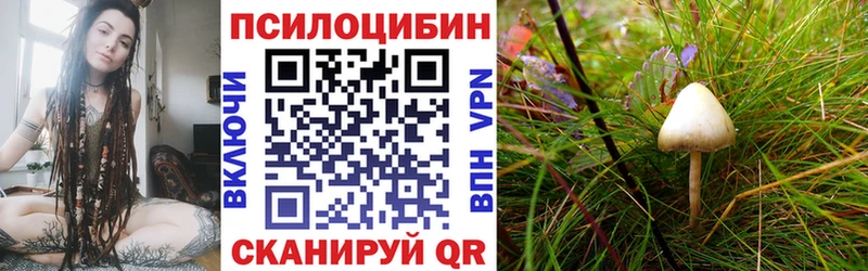 mega как зайти  даркнет сайт  Мезень  Галлюциногенные грибы прущие грибы 